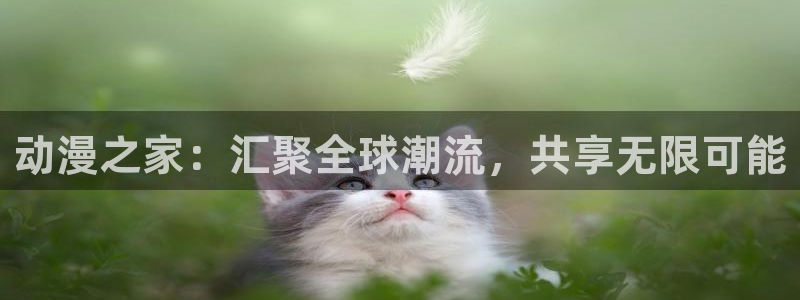 78动漫怎么打不开了