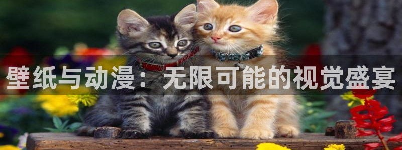 78动漫最新版：壁纸与动漫：无限可能的视觉盛宴