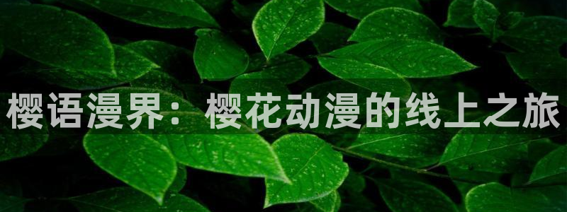 78动漫app官方正版下载