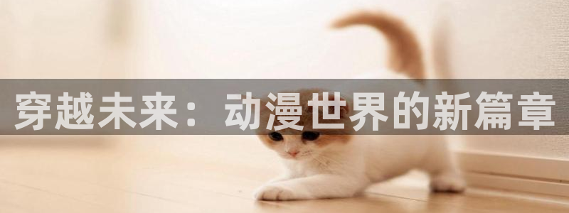 78动漫社