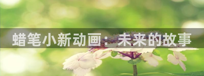 78动漫正版官网入口