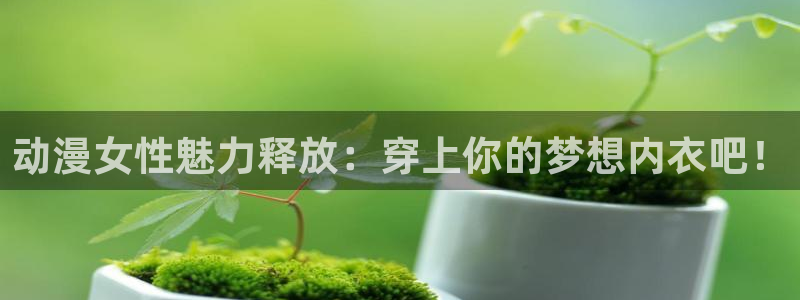 78动漫官网