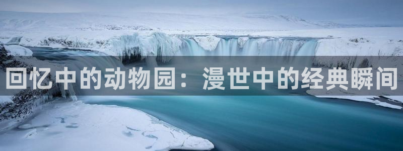 78动漫官网网站
