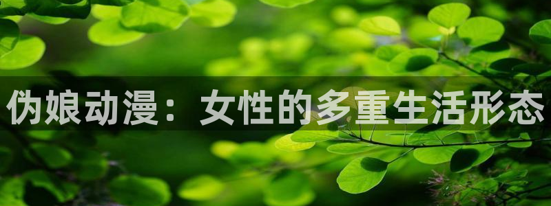 78动漫免费观看