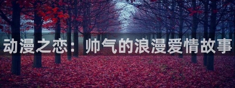 78动漫官网网站