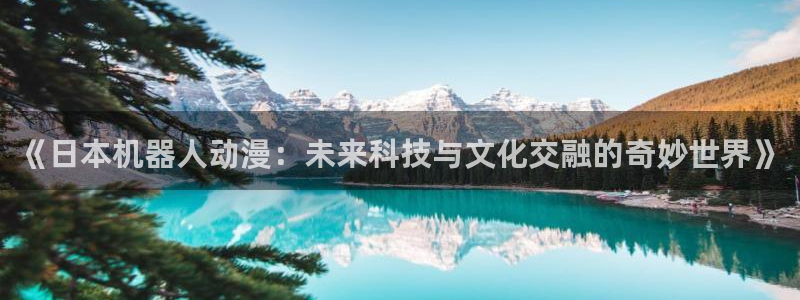 78动漫资料库