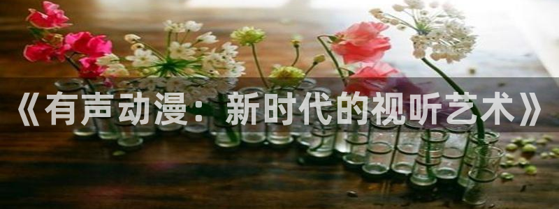 178动漫：《有声动漫：新时代的视听艺术》