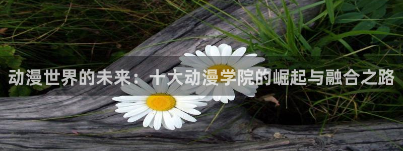 178动漫网：动漫世界的未来：十大动漫学院的崛起与融合之路